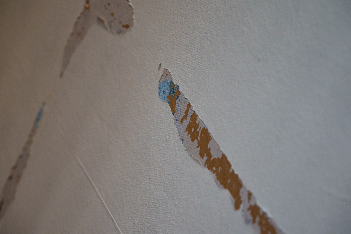 Basement Water Removal service in Glen Burnie, MD